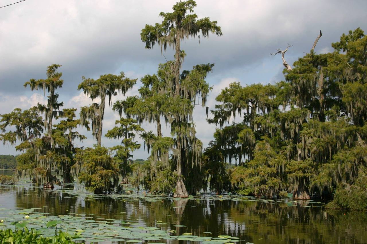 1267618_10152559631725752_1040619168_o