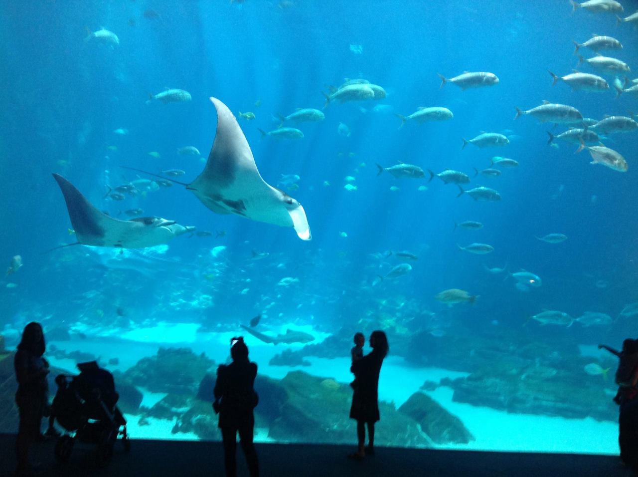 1272191_10152548427885752_1439517216_o