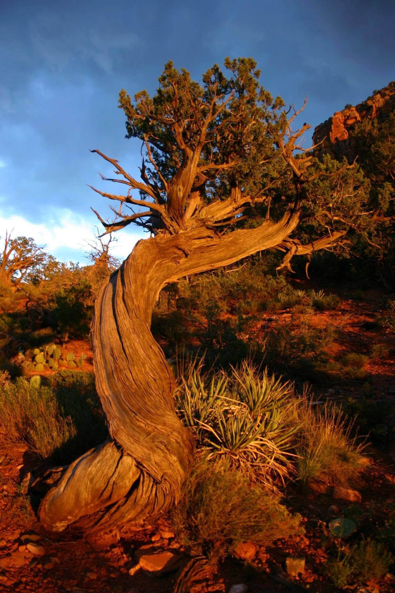 1276195_10152628091085752_1040208027_o