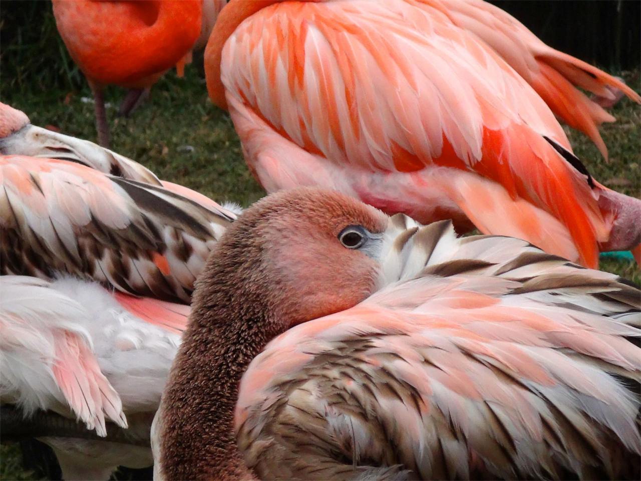 Los Angeles et San Diego en famille…&nbsp;2013