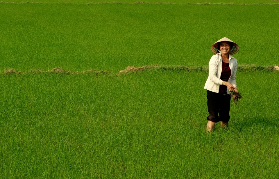 De Dong Hoi à Hoi An…&nbsp;2014