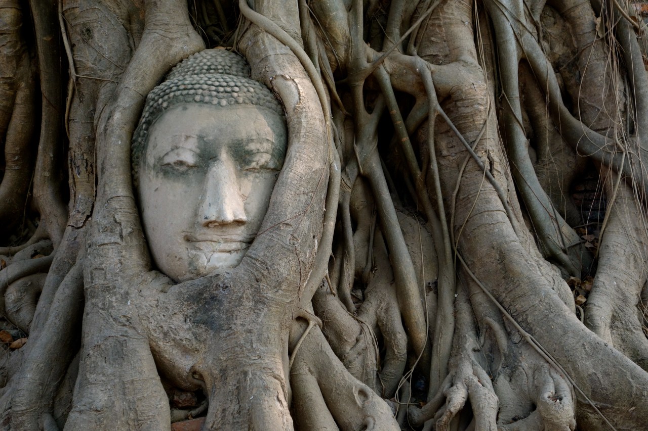 De Bangkok à Chiang Mai…&nbsp;2014