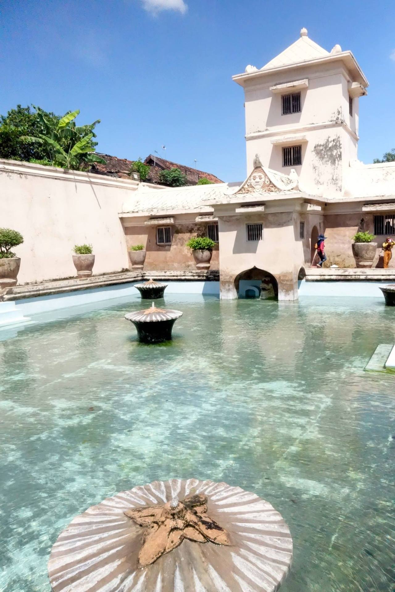 10269271_10153117551375752_3119257810782431878_o