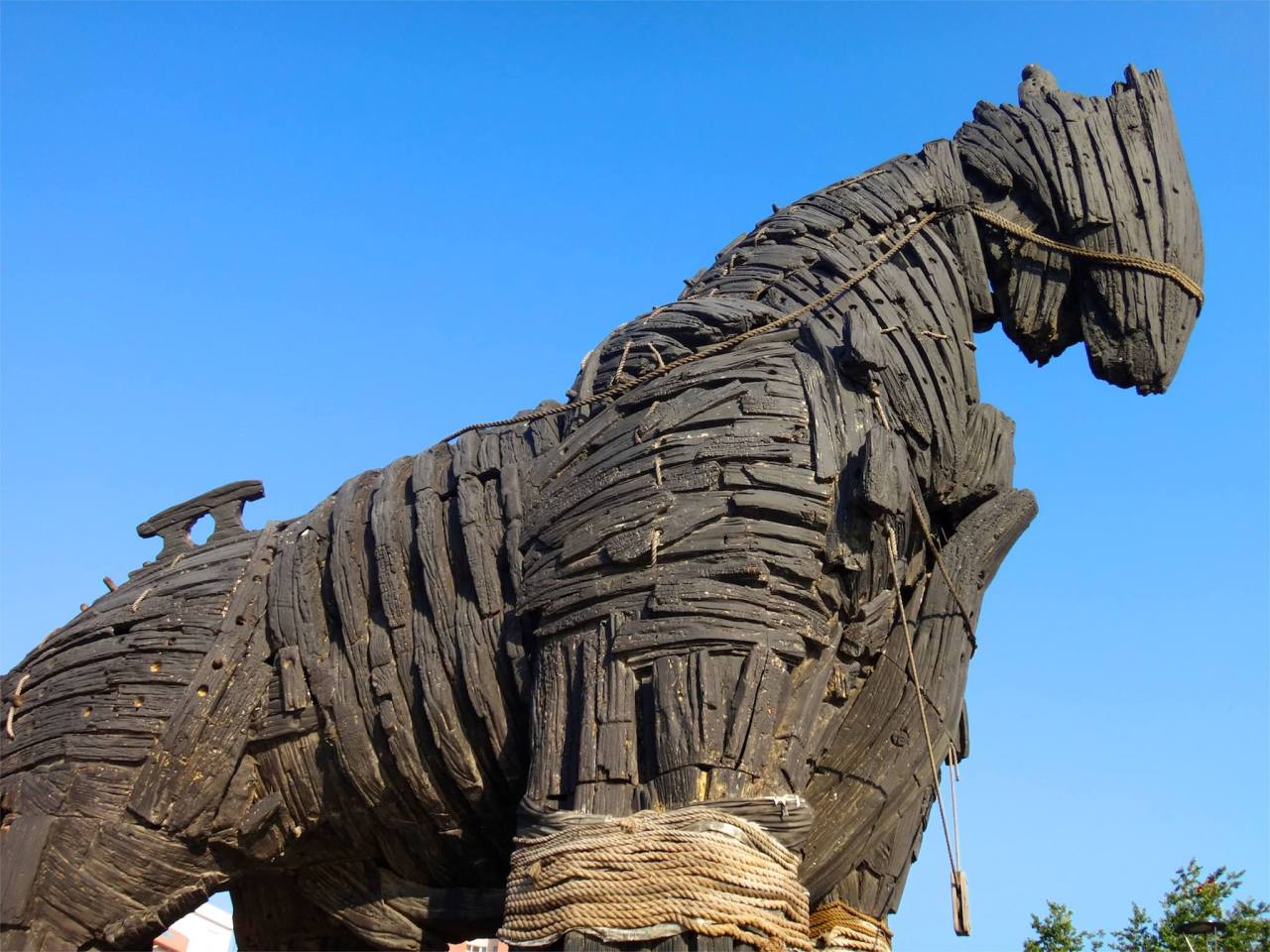 10557530_10153344622885752_3143843135353361874_o