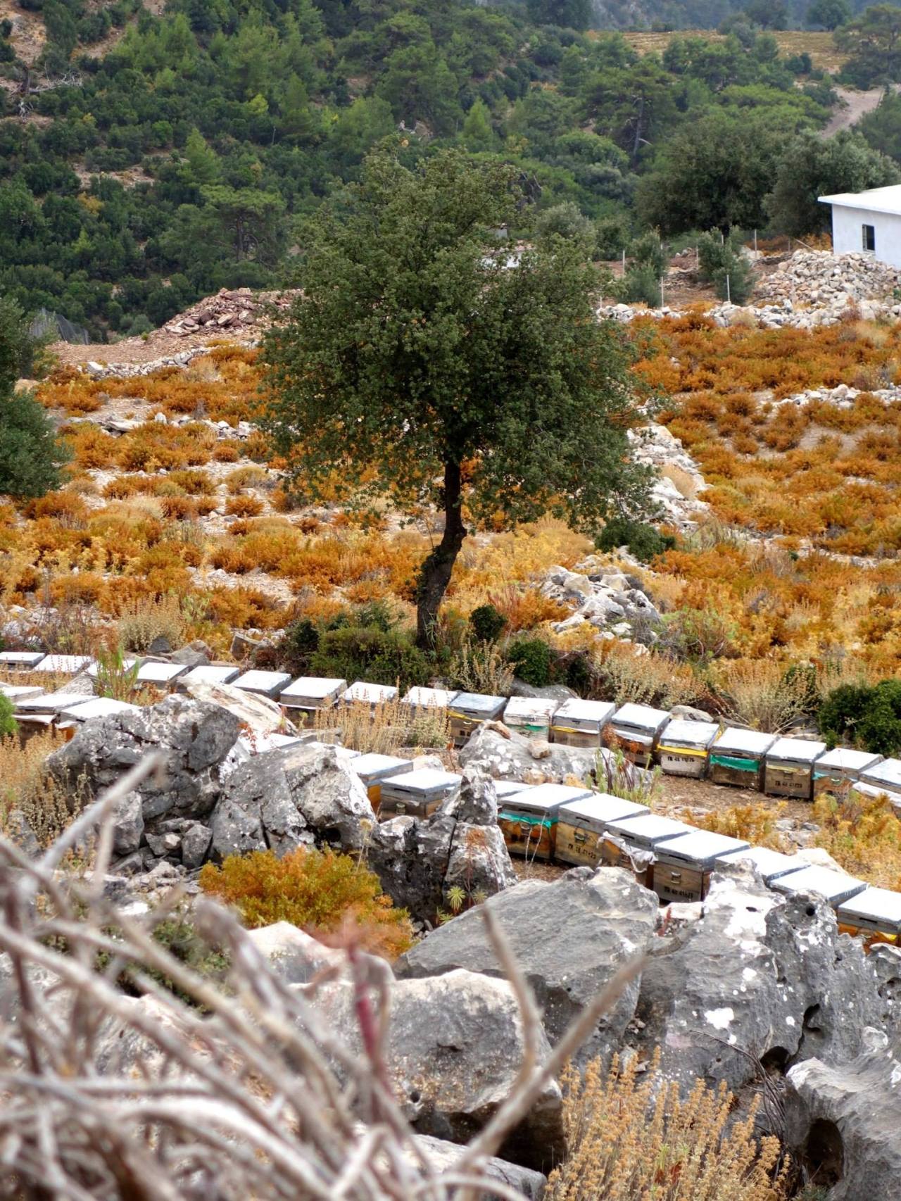 10679935_10153413875240752_2455771294623251315_o