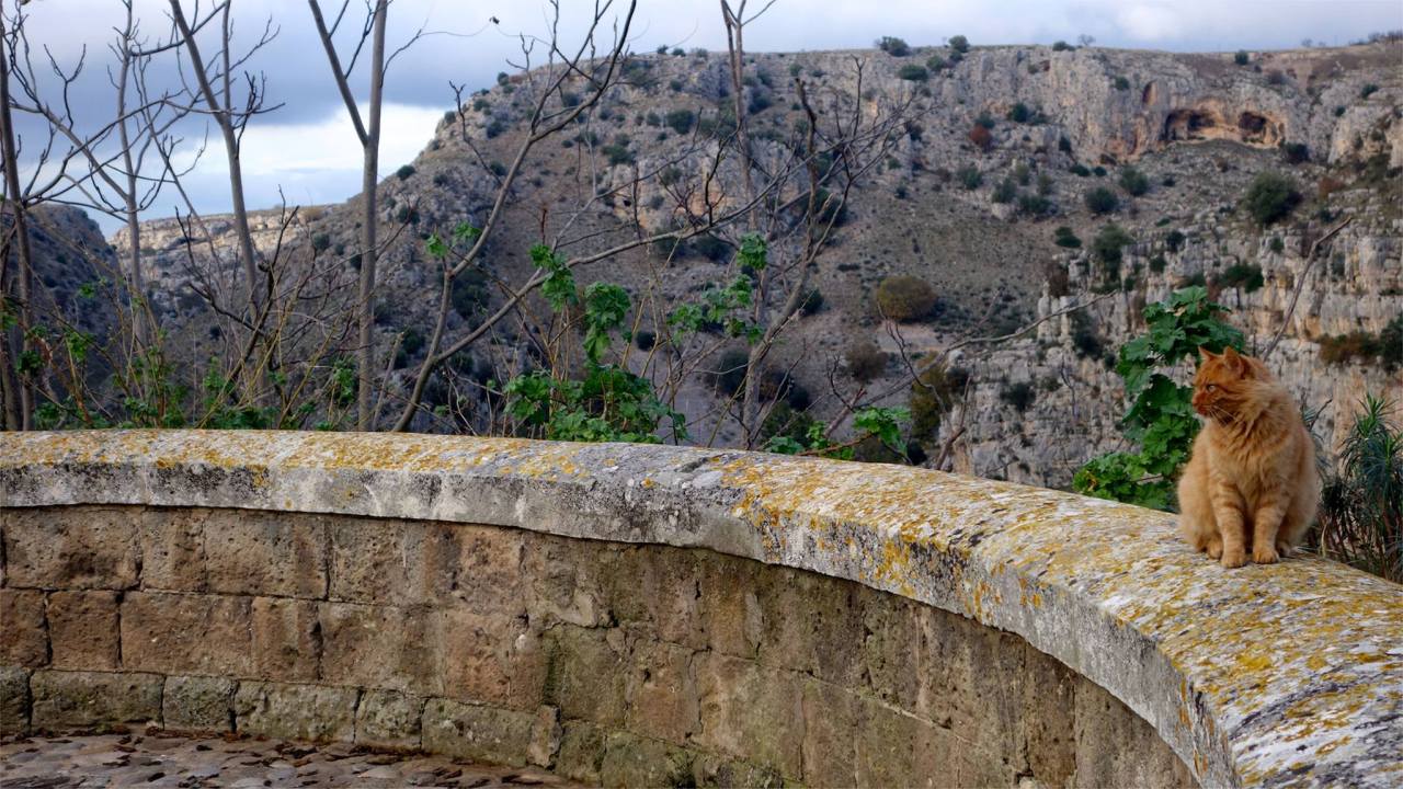 1540452_10153573834400752_7806677081672240541_o