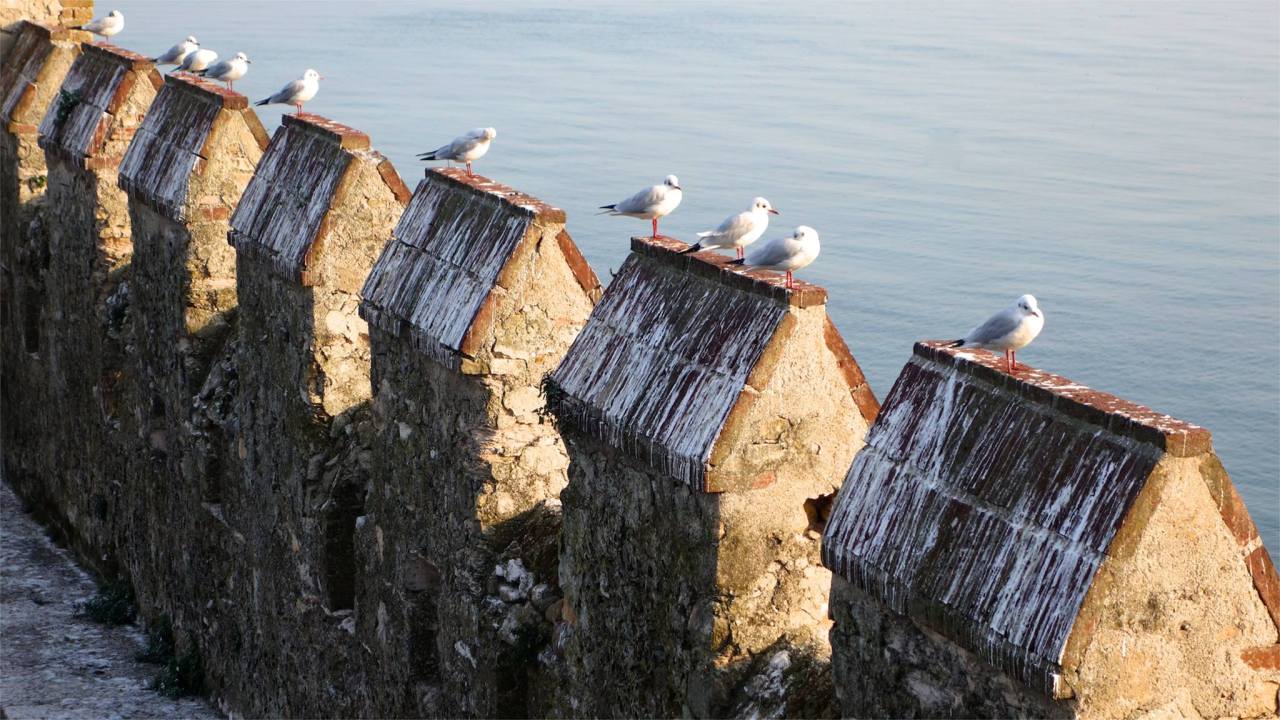 1799083_10153547520065752_602852029284840305_o