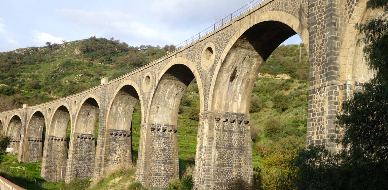 10658739_10153633506500752_195050225440119561_o(1)