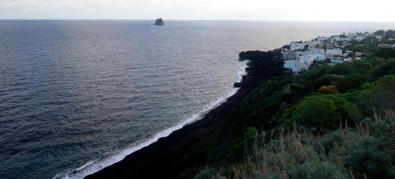 10682196_10153633510400752_8659001940623815262_o(1)