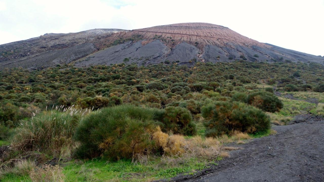 10857243_10153633511625752_1797841838540745975_o(1)