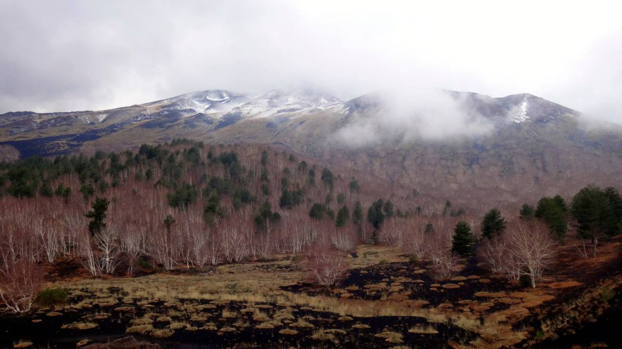 10869414_10153633507935752_4439970255422961940_o(1)