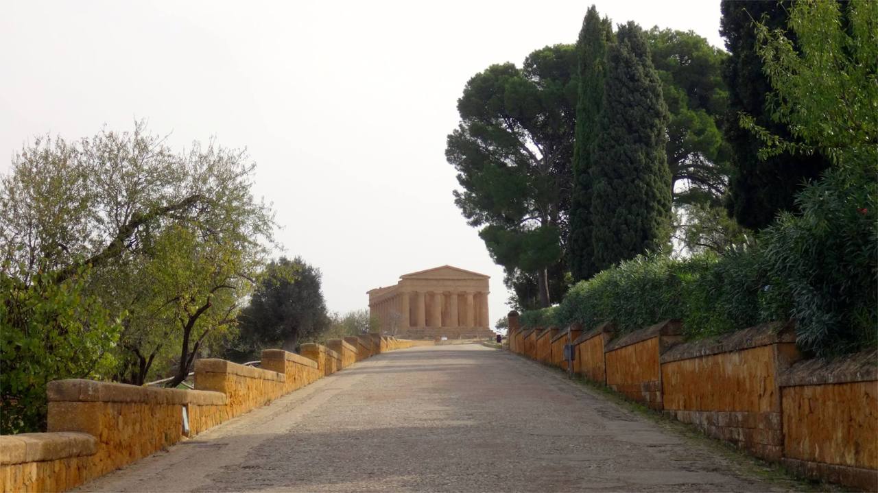 1799214_10153602211560752_6021389550878550454_o(1)