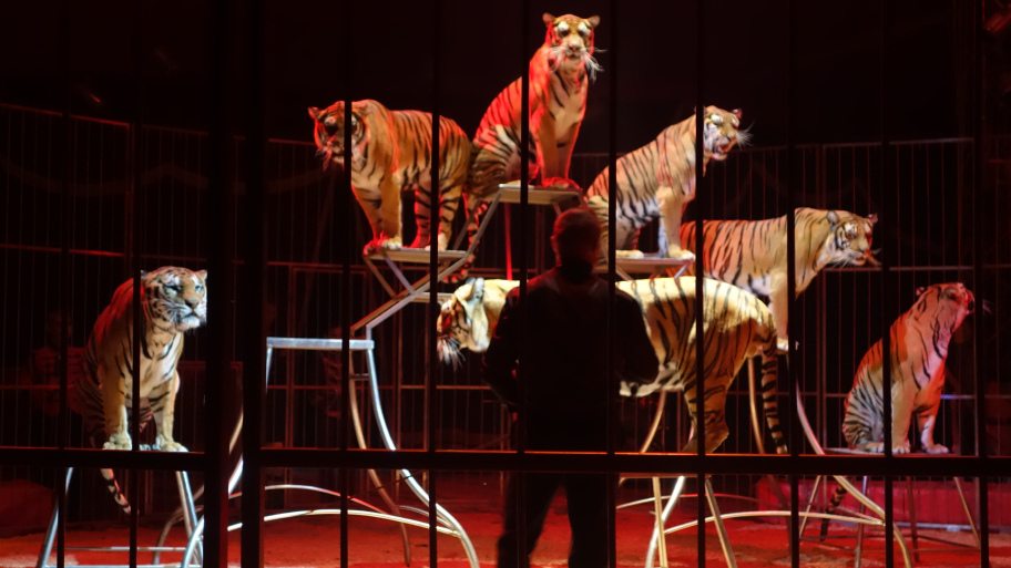 Top 15 de mon fils en Italie…&nbsp;2014