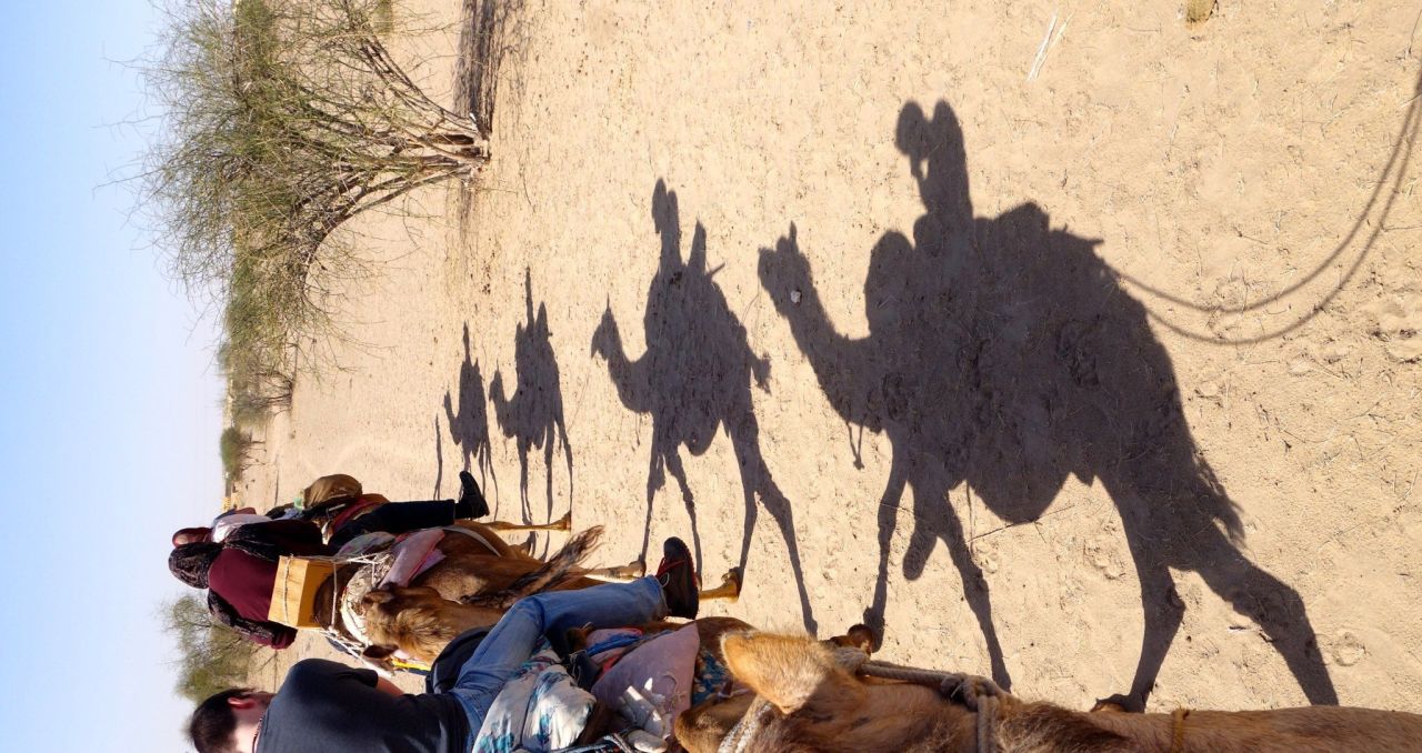 Des images qui parlent, un pays magique…Jodhpur, Jaisalmer (Inde)&nbsp;2015