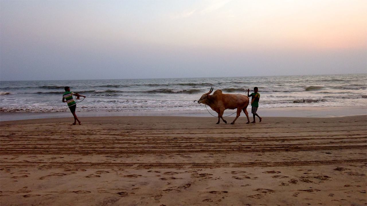 11059534_10153995062065752_2685139272222916568_o