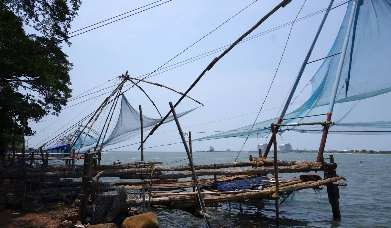 11154853_10153954007475752_8878805360835845483_o