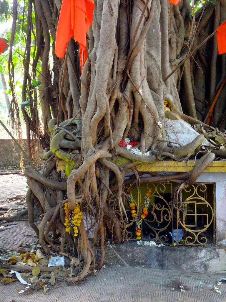 11157409_10153995063725752_7263888212584198333_o