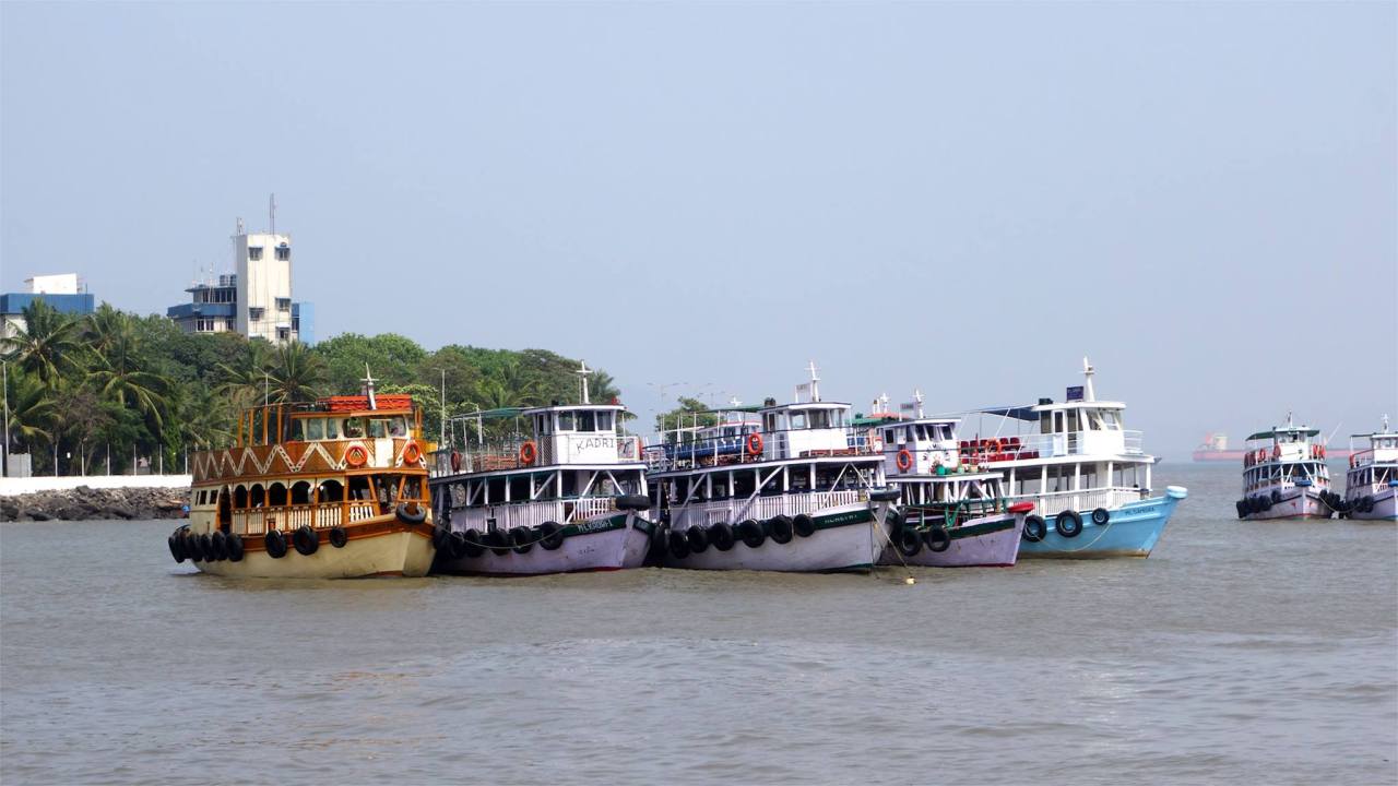 11174747_10153995069655752_3244411481490589743_o