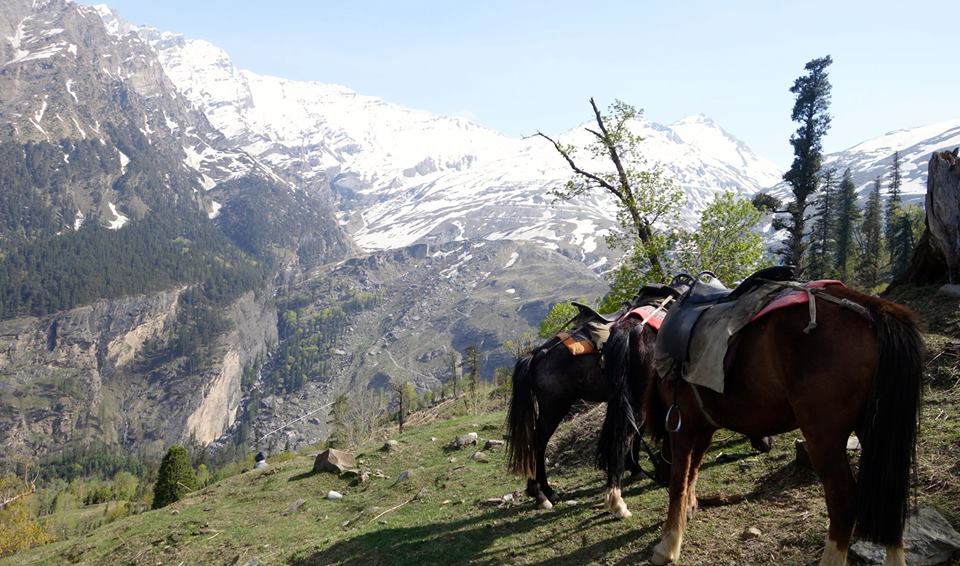 Le nord de l&rsquo;Inde et sa neige… Hihihi! Shimla, Manali, Dharamsala&nbsp;2015